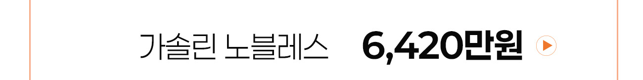 9인승 가격안내2