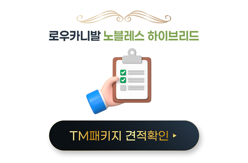 노블래스하이브리드견적