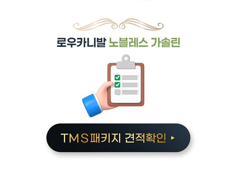 노블레스 가솔린 TMS 견적