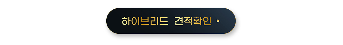 노블나인가솔린